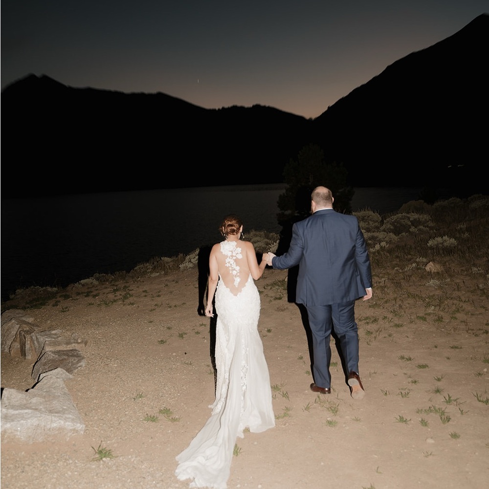 Pronovias Sexy Lace Wedding Dress
